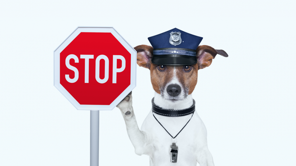 Ook gekregen? Zo’n officieel ogende brief van de BSA | The software Alliance. Het gaat over illegale software en dat u snel moet handelen. En nog veel meer.

Wat is dit?  Moet ik hier iets mee? Moet ik me zorgen maken? Komen ze bij mij binnen vallen?